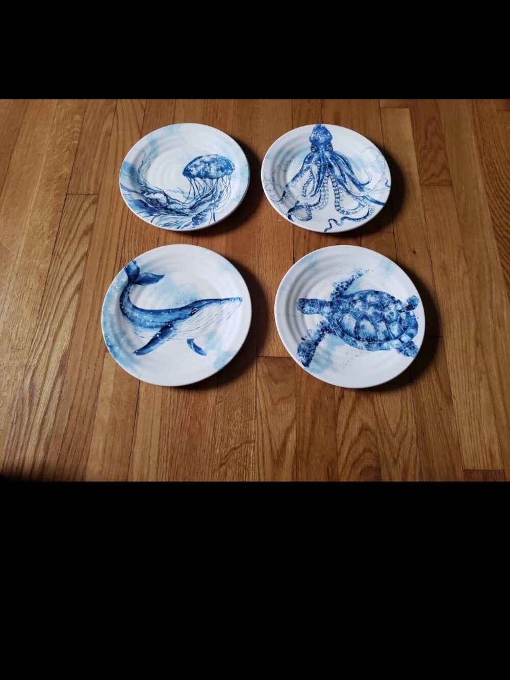 Pier 1 Imports Coastal Dinnerware
